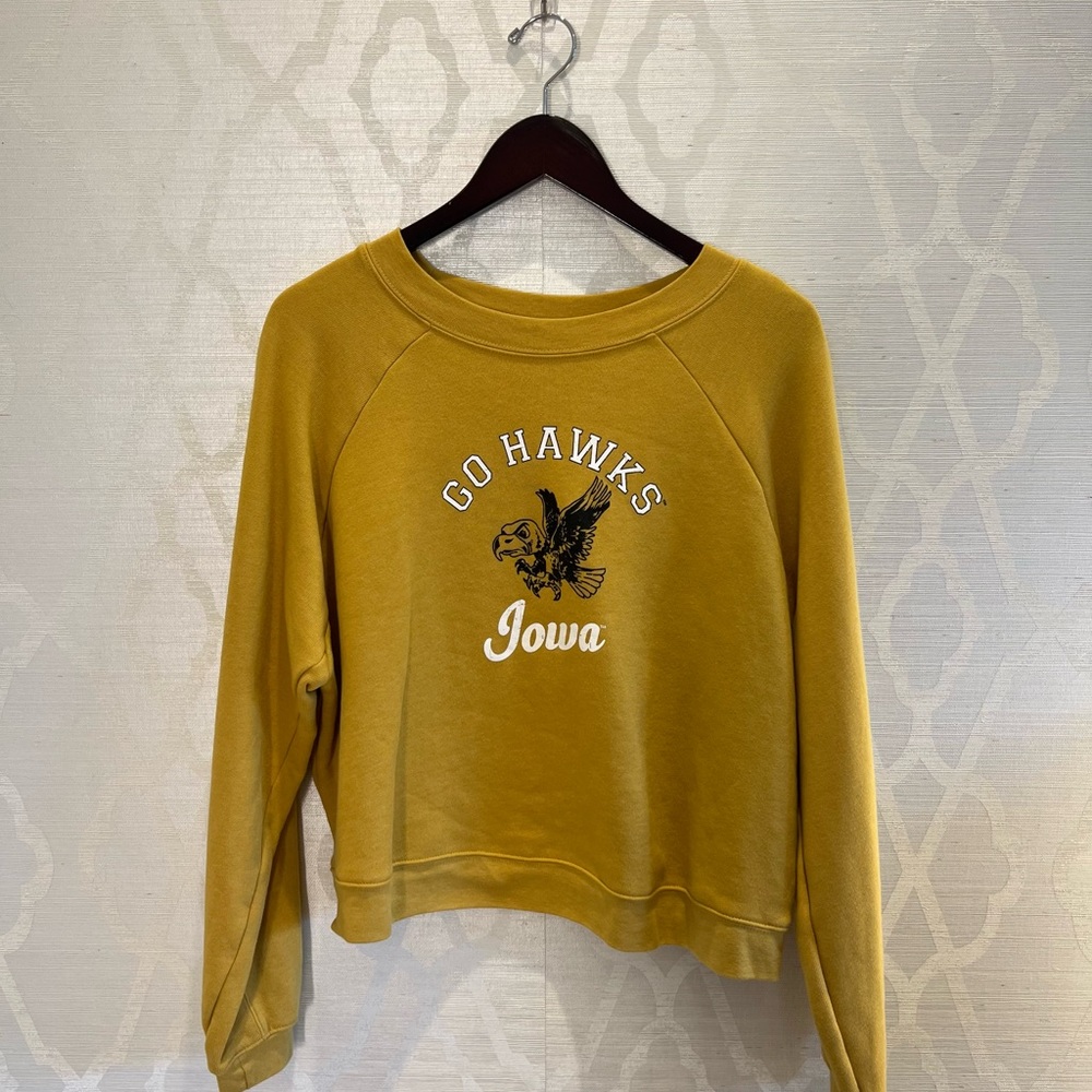 University of Iowa Graphic Cropped Long Sleeve
